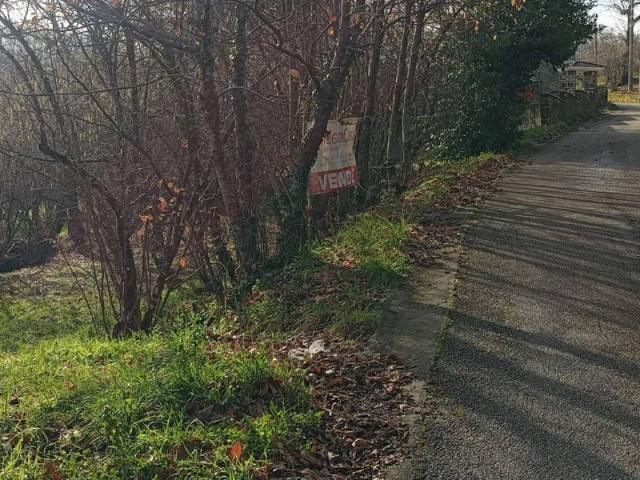 Terreno in vendita a Aiello Del Sabato, Campania
