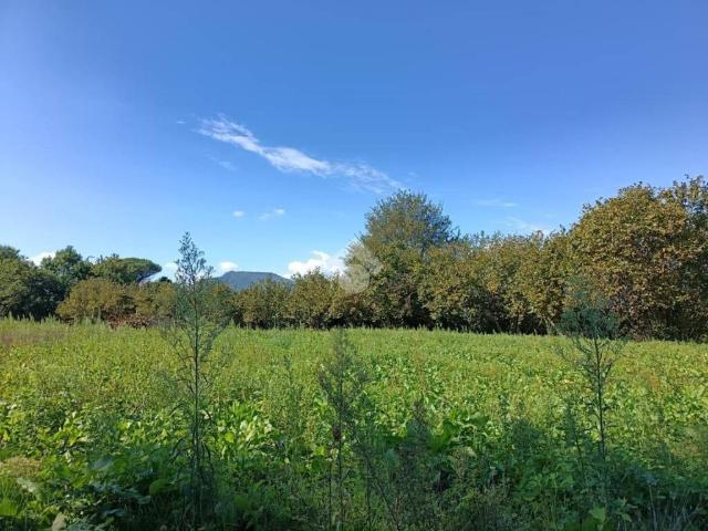 Terreno in vendita a Aiello Del Sabato, Campania
