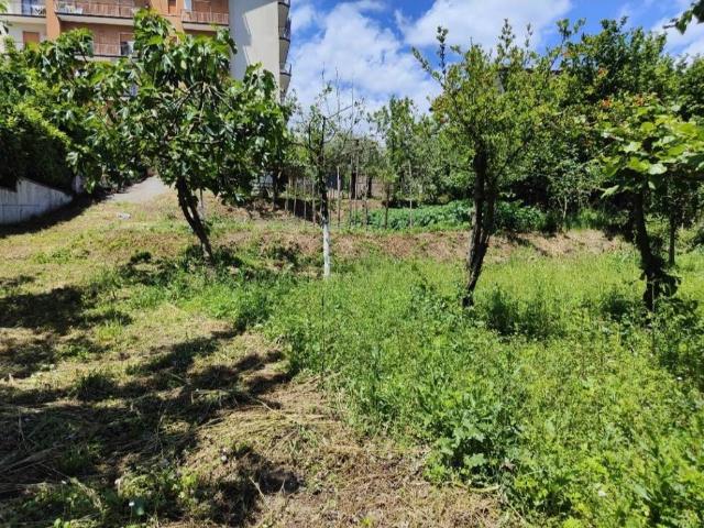 Terreno in vendita a Aiello Del Sabato, Campania