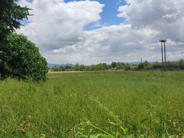 Terreno in vendita a Airola, Campania