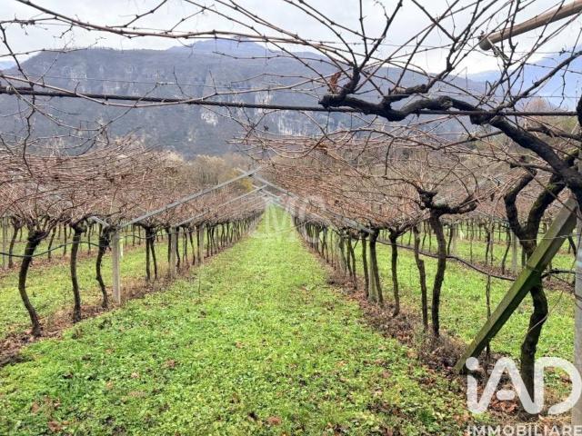Terreno in vendita a Comunità della Vallagarina, Ala