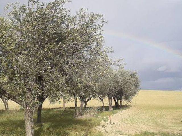 Terreno in vendita a Alanno, Abruzzo