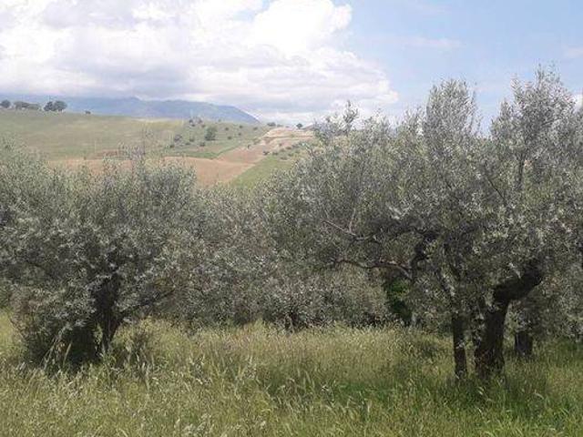 Terreno in vendita a Alanno, Abruzzo