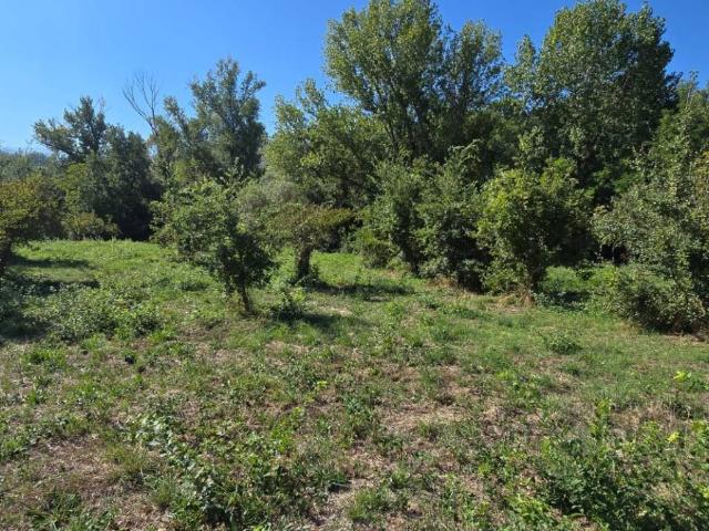 Terreno in vendita a Alanno, Abruzzo