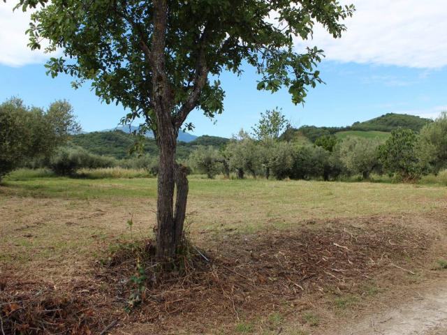 Terreno in vendita a Alanno, Abruzzo