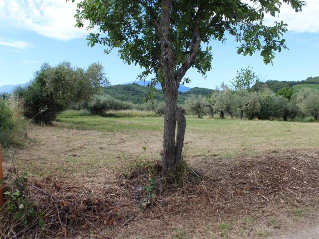 Terreno in vendita a Alanno, Abruzzo