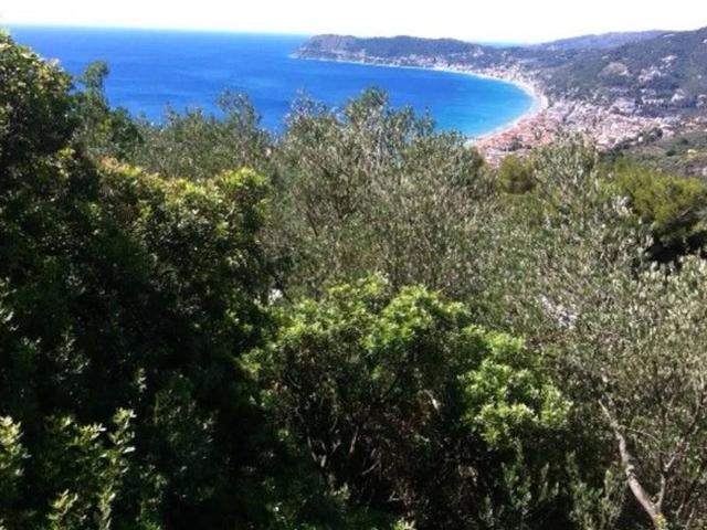 Terreno in vendita a Alassio, Liguria