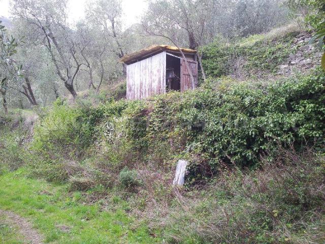 Terreno in vendita a Alassio, Liguria