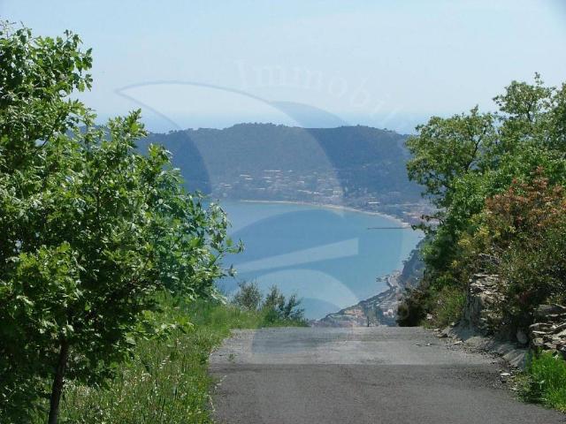 Terreno in vendita a Alassio, Liguria