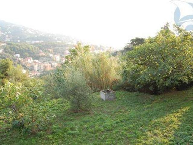Terreno in vendita a Alassio, Liguria