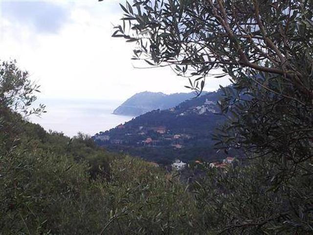 Terreno in vendita a Moglio, Alassio