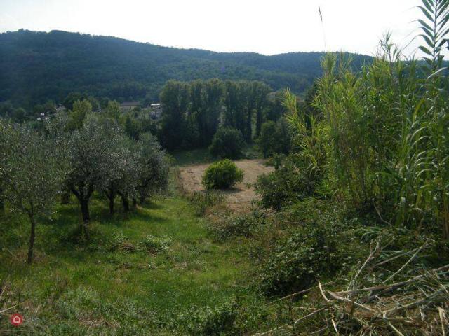 Terreno in vendita a Alatri, Lazio