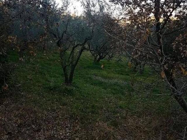Terreno in vendita a Alatri, Lazio