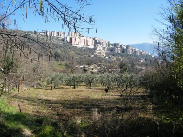 Terreno in vendita a Alatri, Lazio