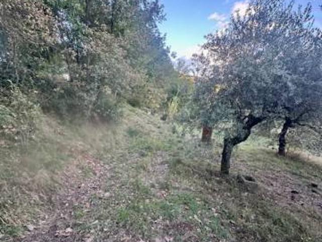 Terreno in vendita a Alatri, Lazio