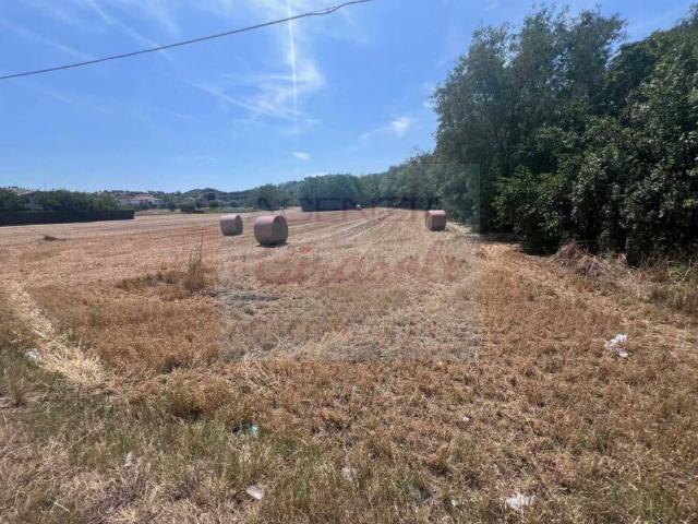 Terreno in vendita a Unione dei Comuni della Val Vibrata, Alba Adriatica