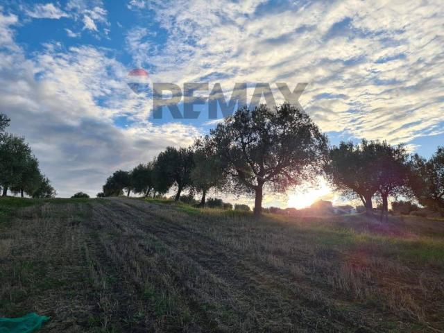 Terreno in vendita a Unione dei Comuni della Val Vibrata, Alba Adriatica