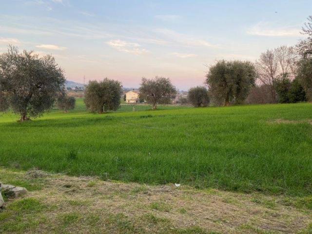 Terreno in vendita a Unione dei Comuni della Val Vibrata, Alba Adriatica