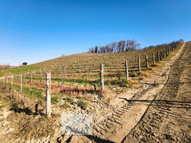 Terreno in vendita a San Cassiano, Piemonte