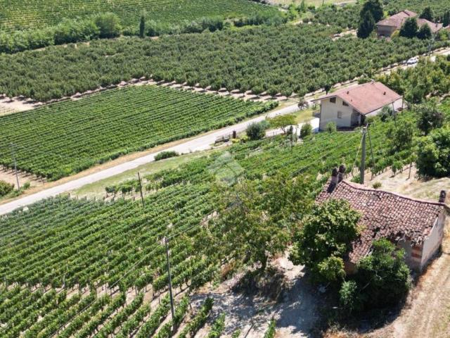 Terreno in vendita a Piemonte, Cuneo