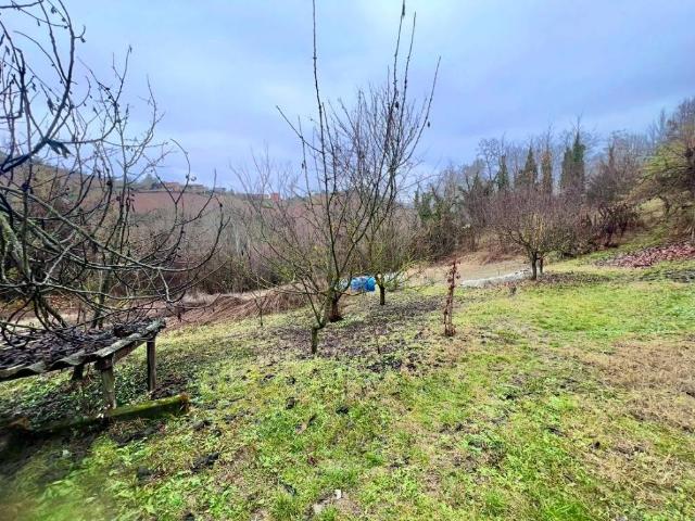 Terreno in vendita a San Rocco di Seno d'Elvio, Alba