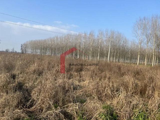 Terreno in vendita a Albairate, Lombardia