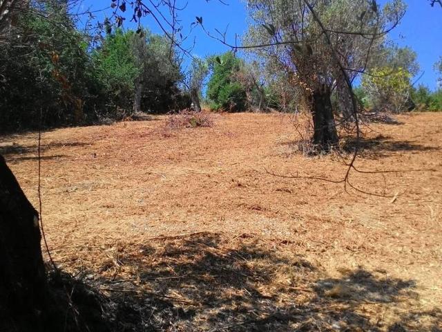 Terreno in vendita a Albanella, Campania