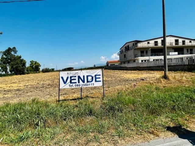 Terreno in vendita a Albanella, Campania