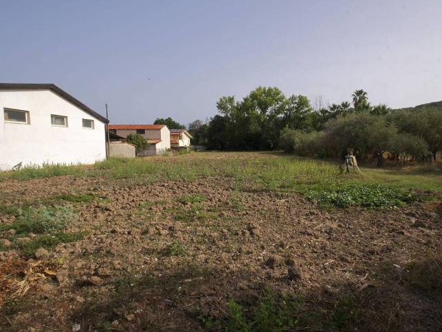 Terreno in vendita a San Nicola, Albanella