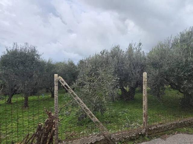 Terreno in vendita a Roma Capitale, Lazio
