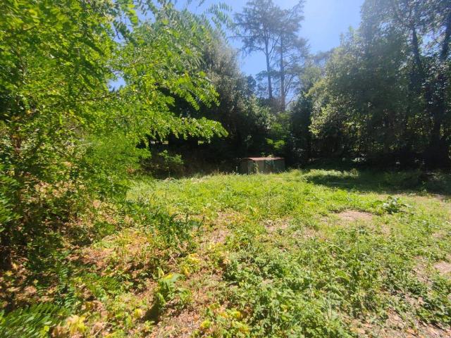 Terreno in vendita a Roma Capitale, Lazio