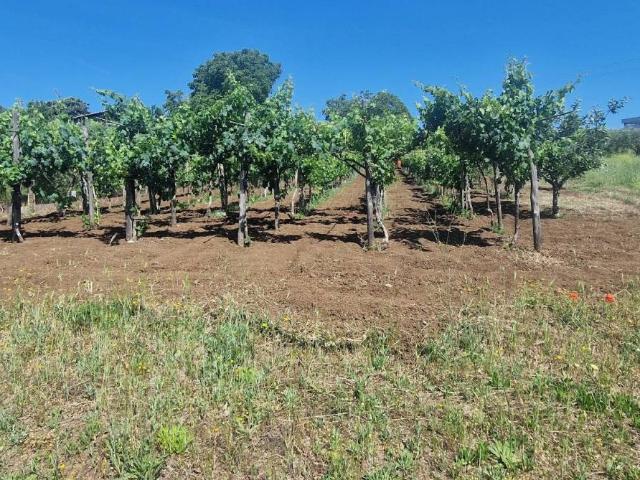 Terreno in vendita a Roma Capitale, Lazio