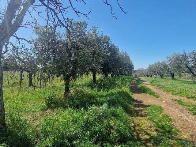 Terreno in vendita a Roma Capitale, Lazio