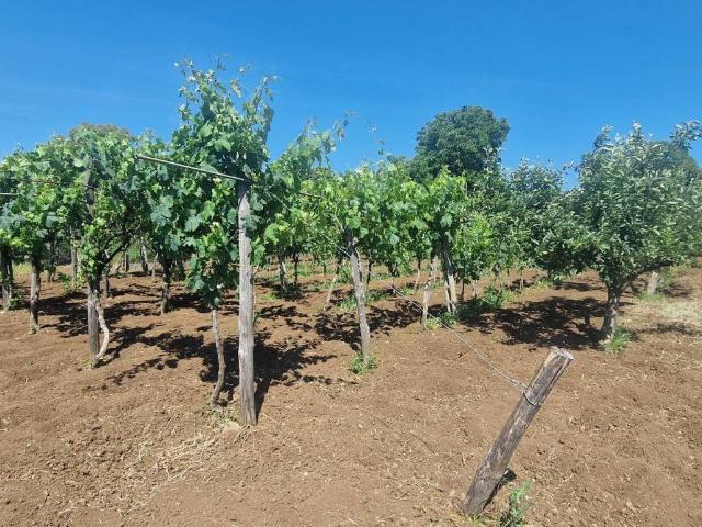 Terreno in vendita a Roma Capitale, Lazio