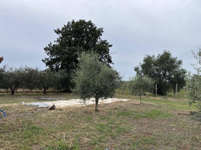 Terreno in vendita a Cecchina, Albano Laziale