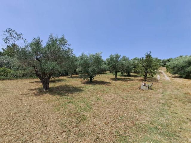 Terreno in vendita a Roma Capitale, Lazio