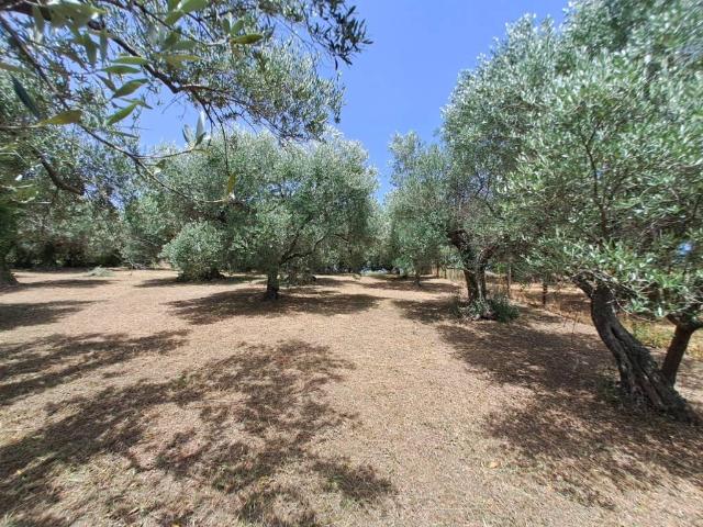 Terreno in vendita a Roma Capitale, Lazio