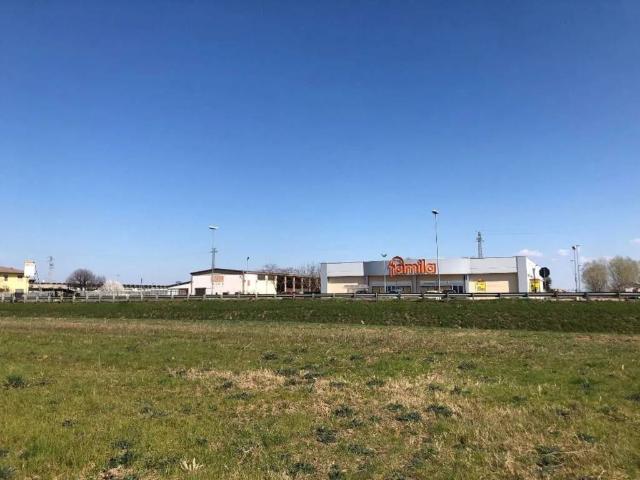 Terreno in vendita a Albaredo D'adige, Veneto