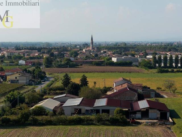 Terreno in vendita a Albaredo D'adige, Veneto