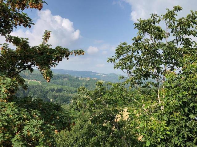 Terreno in vendita a Piemonte, Cuneo