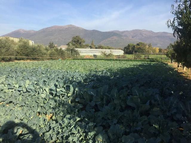 Terreno in vendita a Bastia, Albenga
