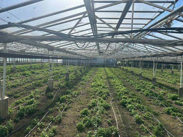 Terreno in vendita a Bastia, Albenga