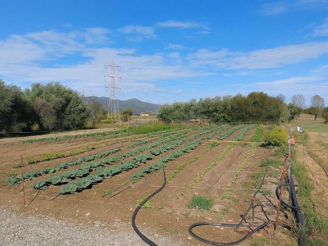 Terreno in vendita a Bastia, Albenga