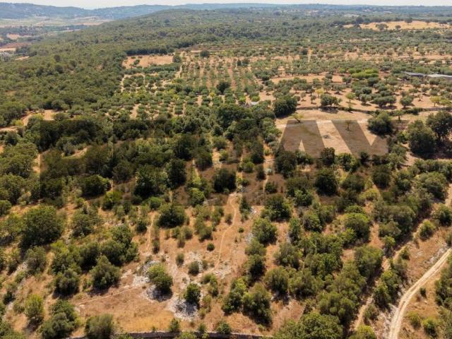 Terreno in vendita a Puglia, Bari