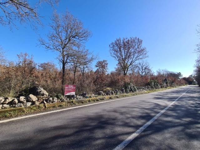 Terreno in vendita a Puglia, Bari