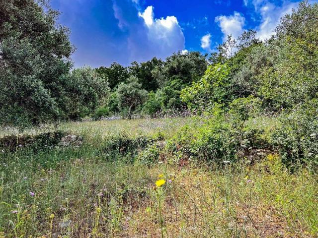 Terreno in vendita a Puglia, Bari
