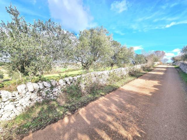 Terreno in vendita a Puglia, Bari