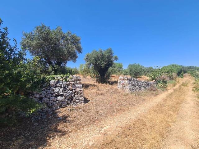Terreno in vendita a Puglia, Bari