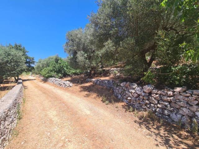 Terreno in vendita a Puglia, Bari