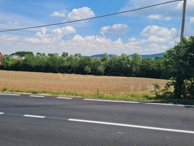Terreno in vendita a Albettone, Veneto